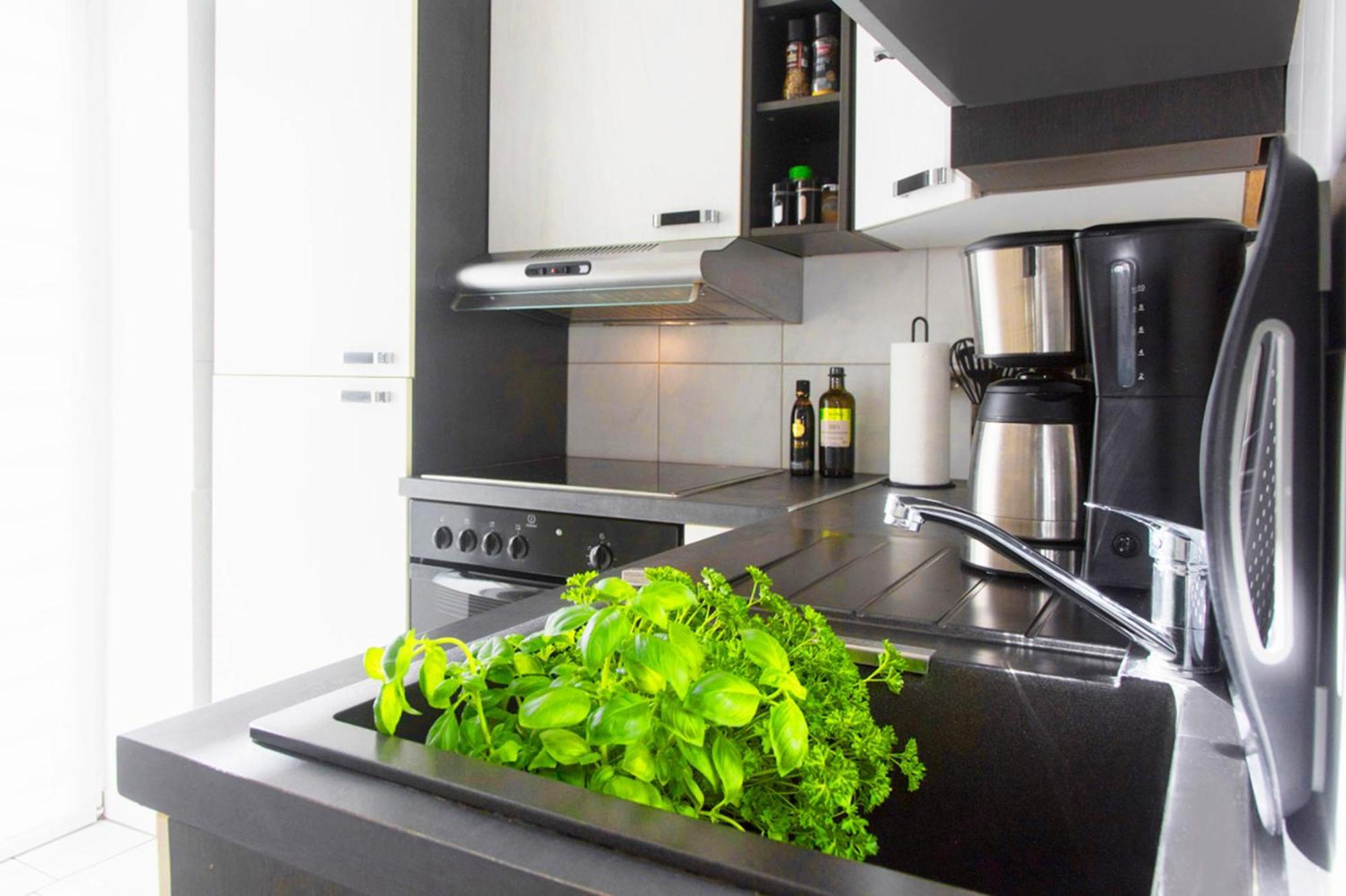 Bauhaus Design-Luxus Apartment, 20Er Jahre Stil, Garten Gera Exteriör bild